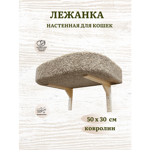 Лежанка для кошек, Ван Кот, настенная, с бортиком, бежевый ковролин, 50х30 см
