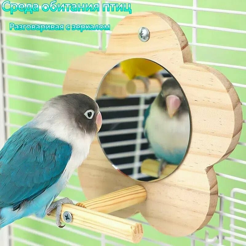 Стенд  дом попугая среда обитания жердочки
