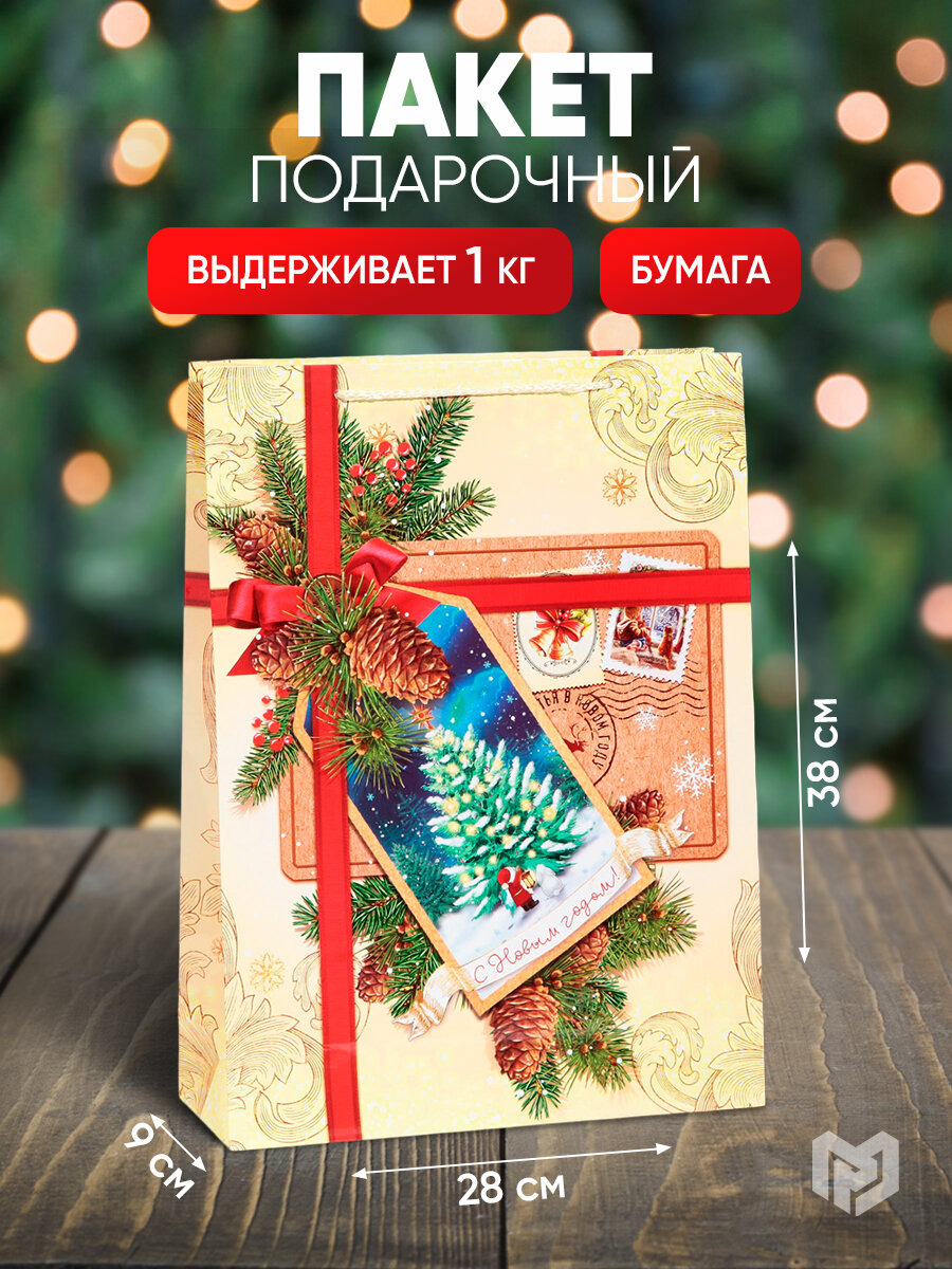 Пакет подарочный «С Новым годом!», 28 × 38 × 9 см, для упаковки подарка