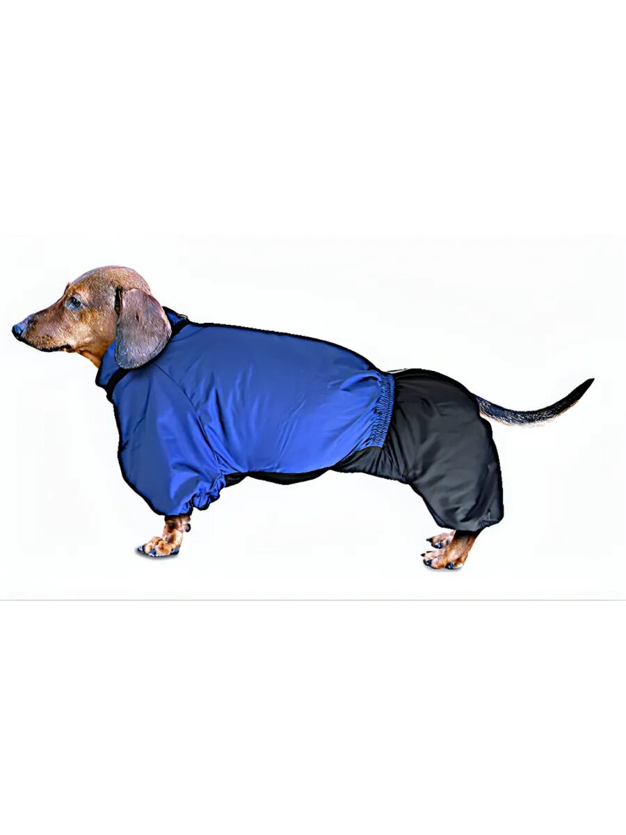 Зимний комбинезон для таксы