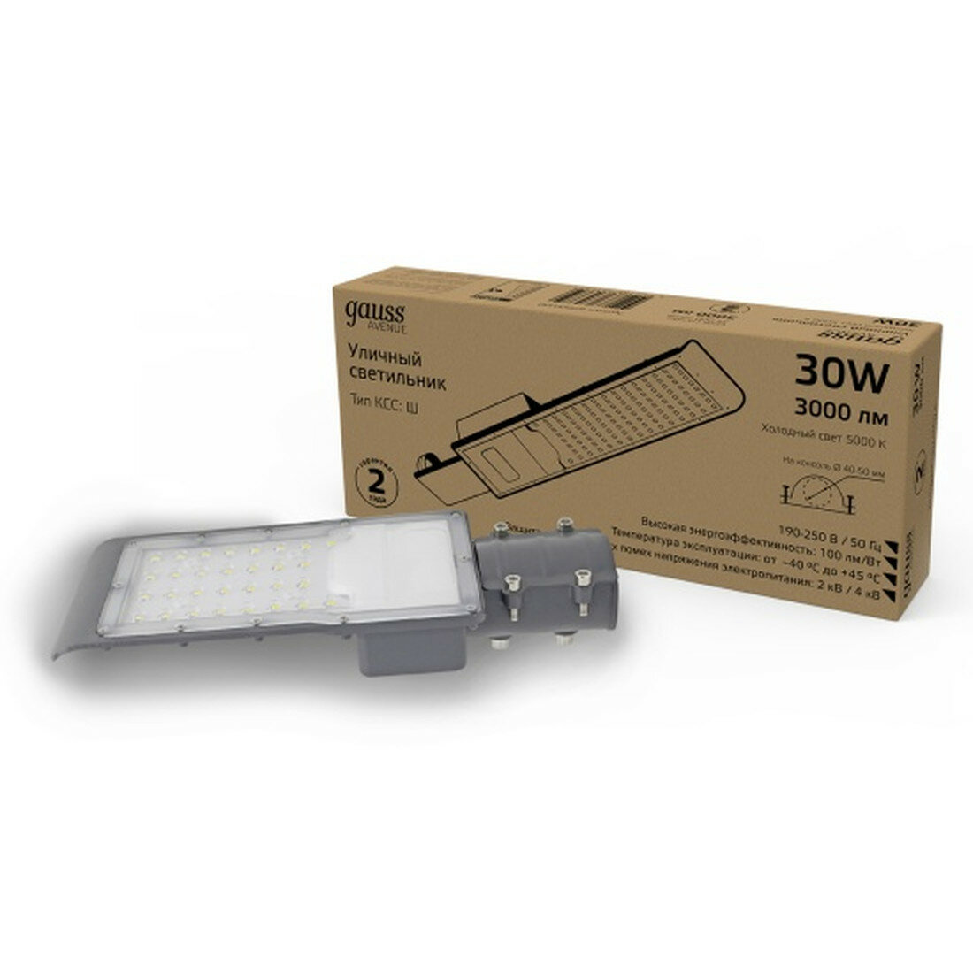 Консольный светильник Gauss Avenue 30W 3000lm 5000K 190-250V IP65 316*130*57мм черный КСС 