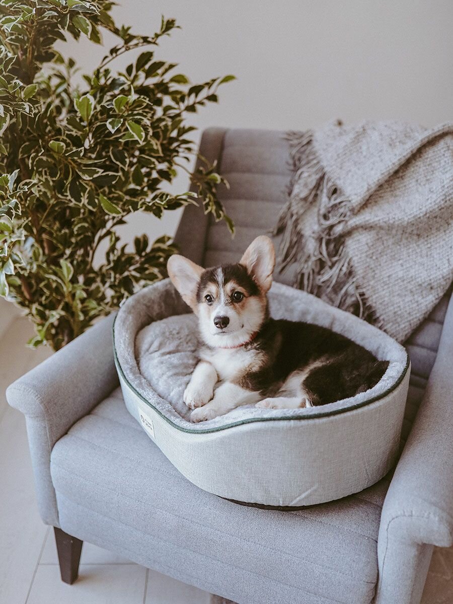 Лежанка для животных, для кошек, для собак, "Не Один Дома" Лесная полянка, серый, S, 50х35х14 см