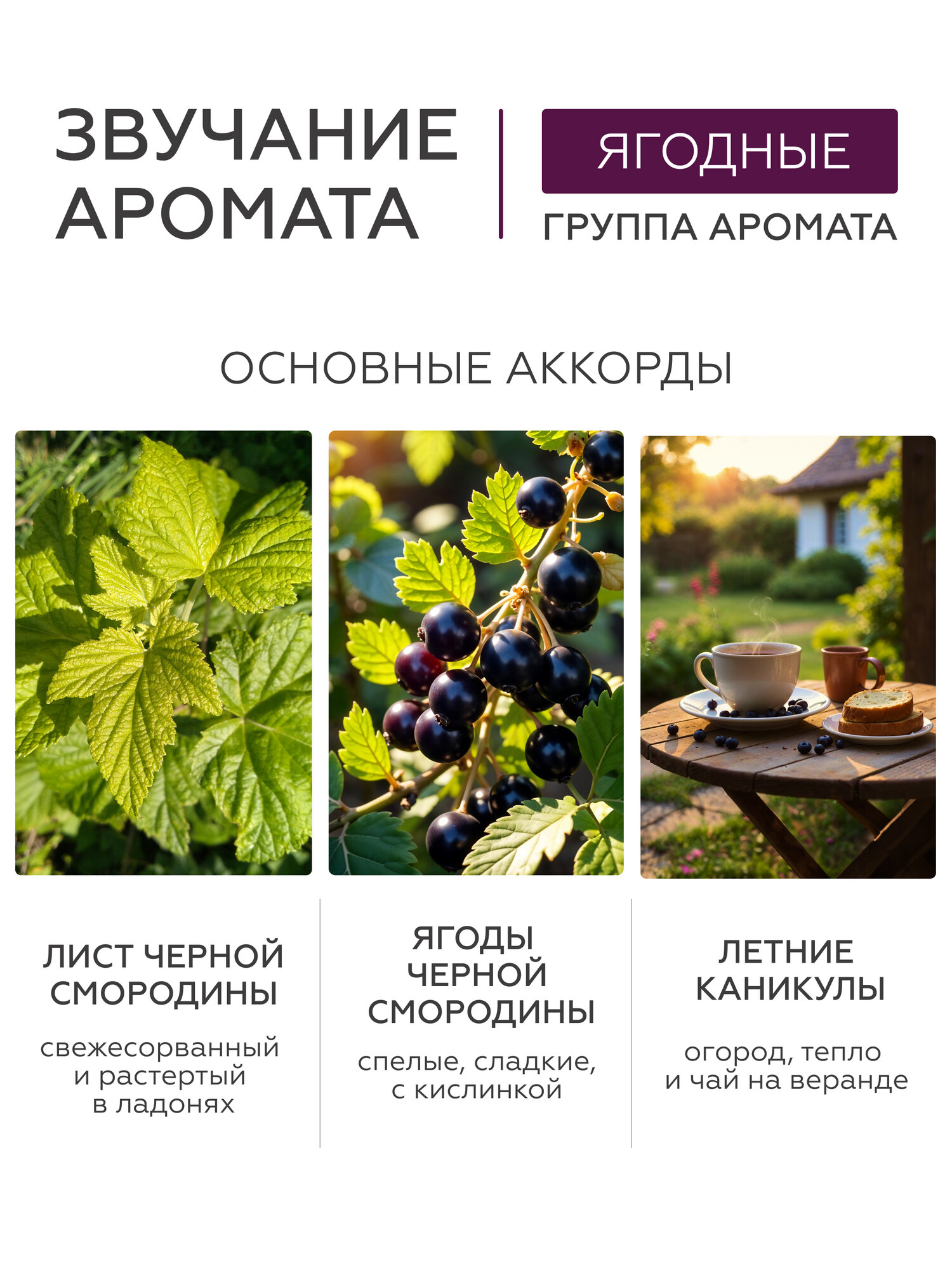 Молочко Для Тела Гельтек Молочко для тела увлажняющее Black Cassis Geltek Gourmet, 390 мл