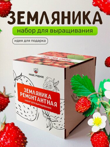 Изображение товара Набор для выращивания растений Сад на окне "Земляника", в деревянном горшочке