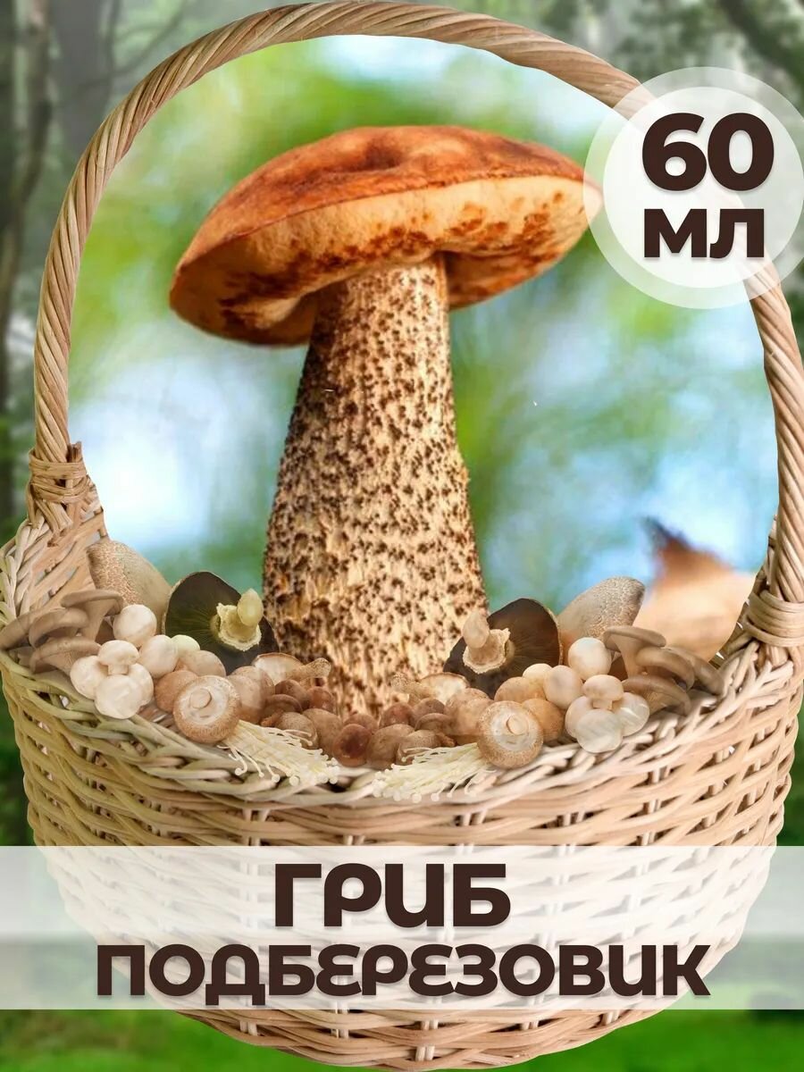 Мицелий гриба 