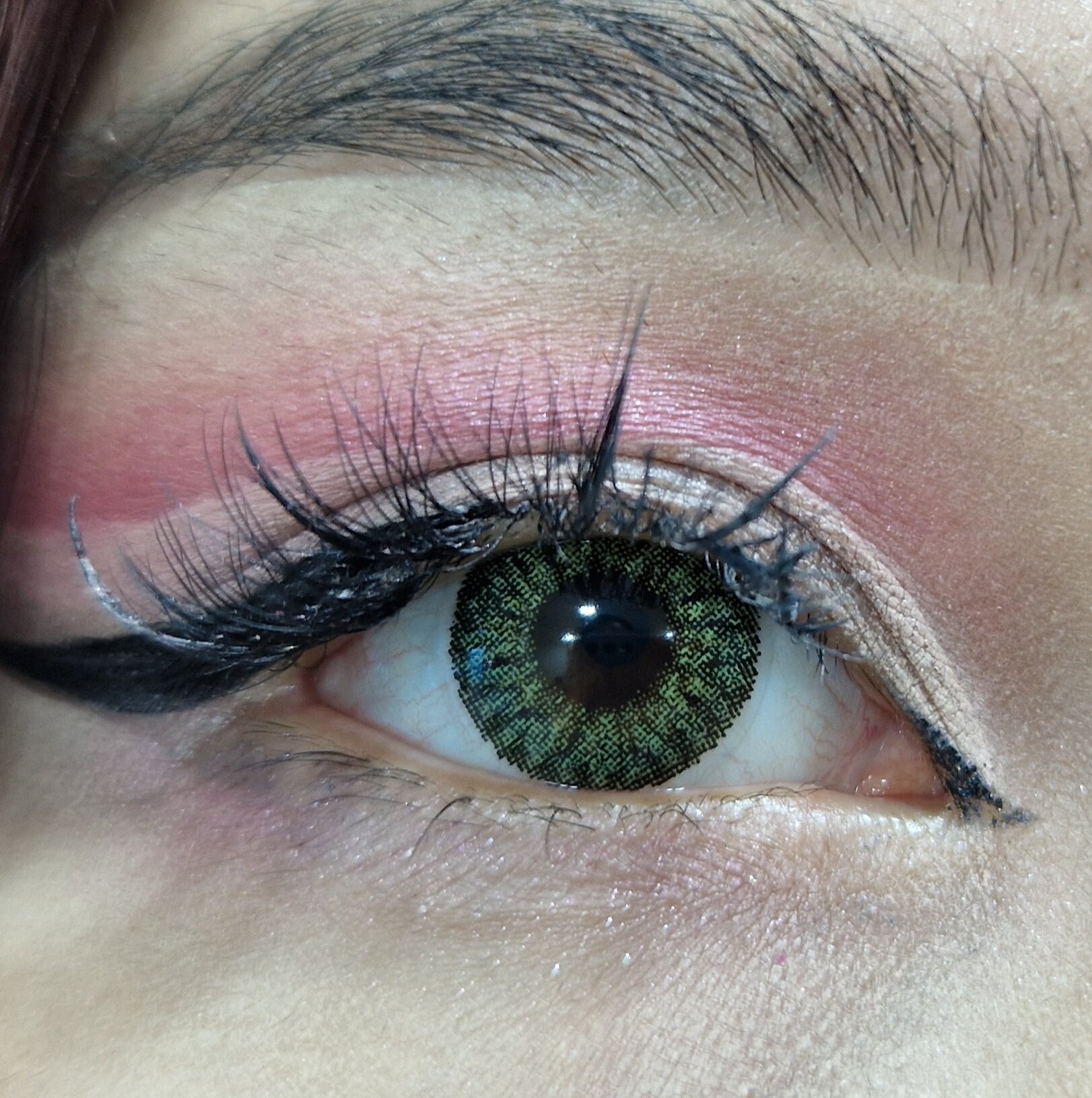 DAILY GREEN -2.00 Контактные линзы для зрения, зеленые, BC 8.6, DIA14.2, 12 месяцев — фото 1