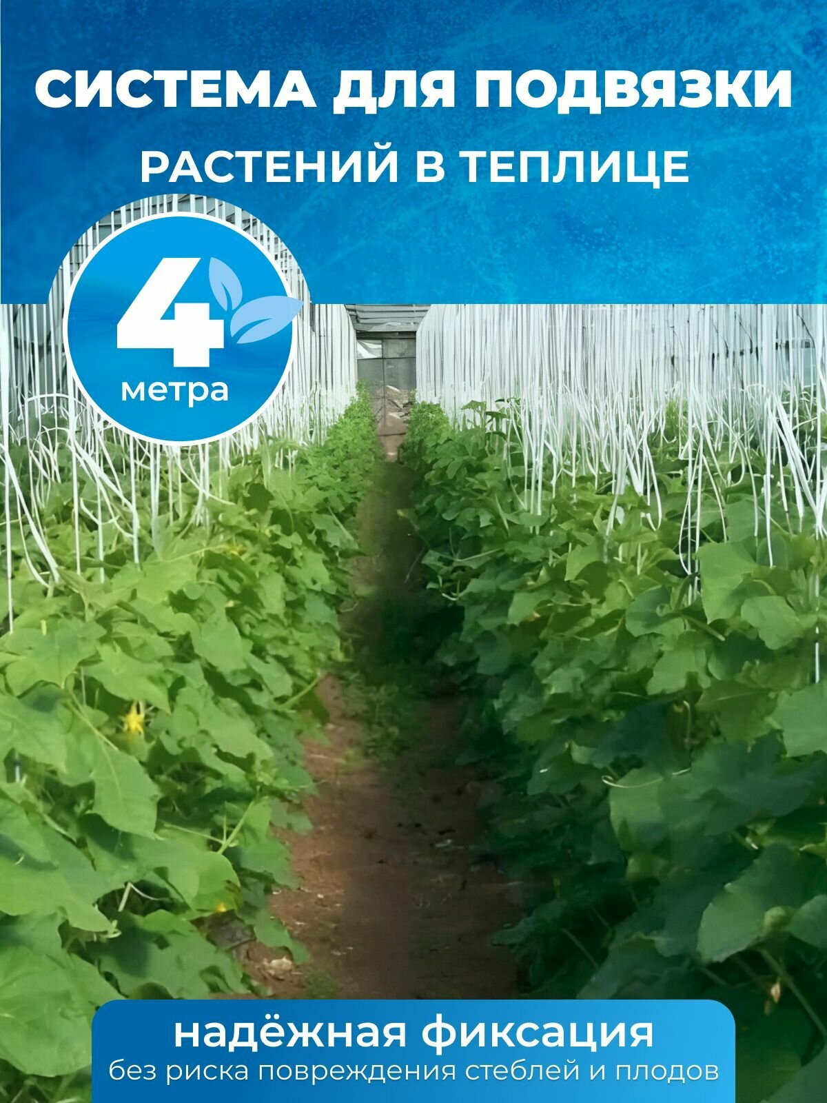 Система для подвязки растений в теплице 4м