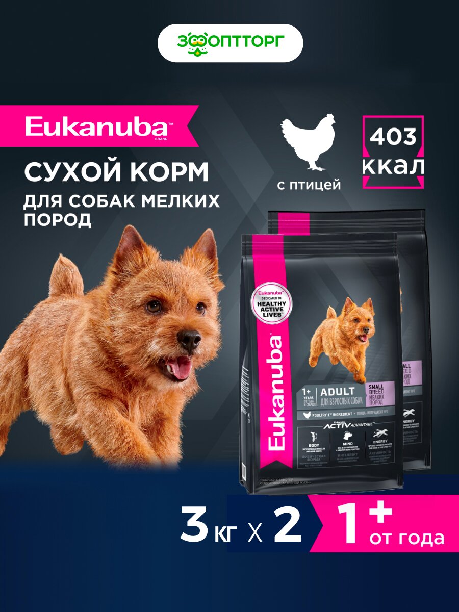 Сухой корм Eukanuba Dog для взрослых собак мелких пород Курица, 3 кг х 2 шт.