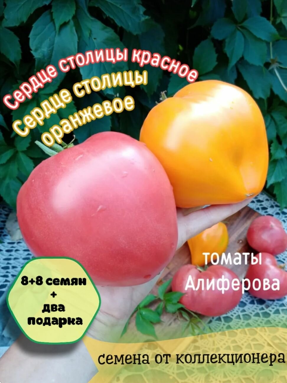 Томаты Виталия Алиферова 