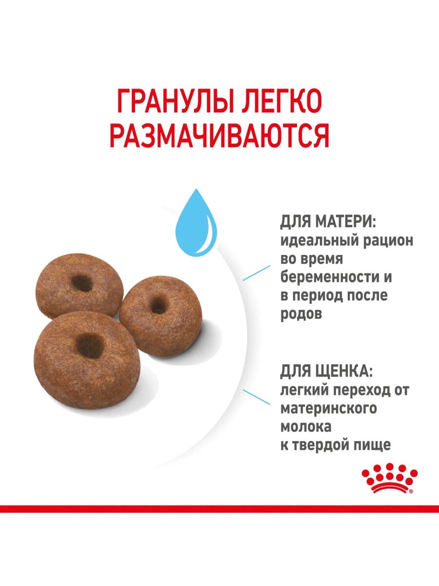 Сухой корм Royal Canin Giant Starter для щенков до 2 месяцев, беременных и кормящих сук гигантских пород Птица, 15 кг. — фото 1