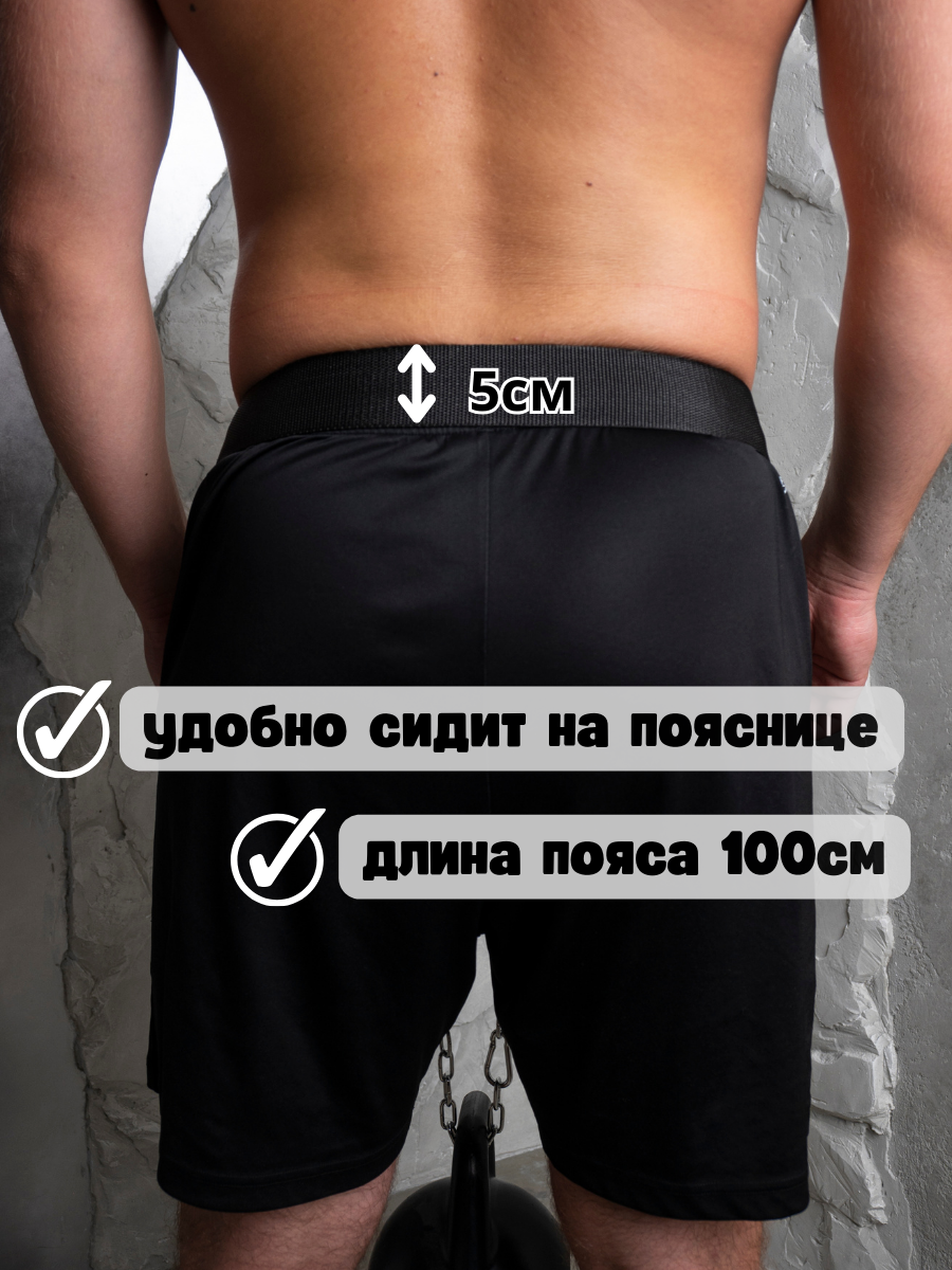 Пояс для отягощения Pfeifer, сталь, стропа, нагрузка до 100 кг — фото 1