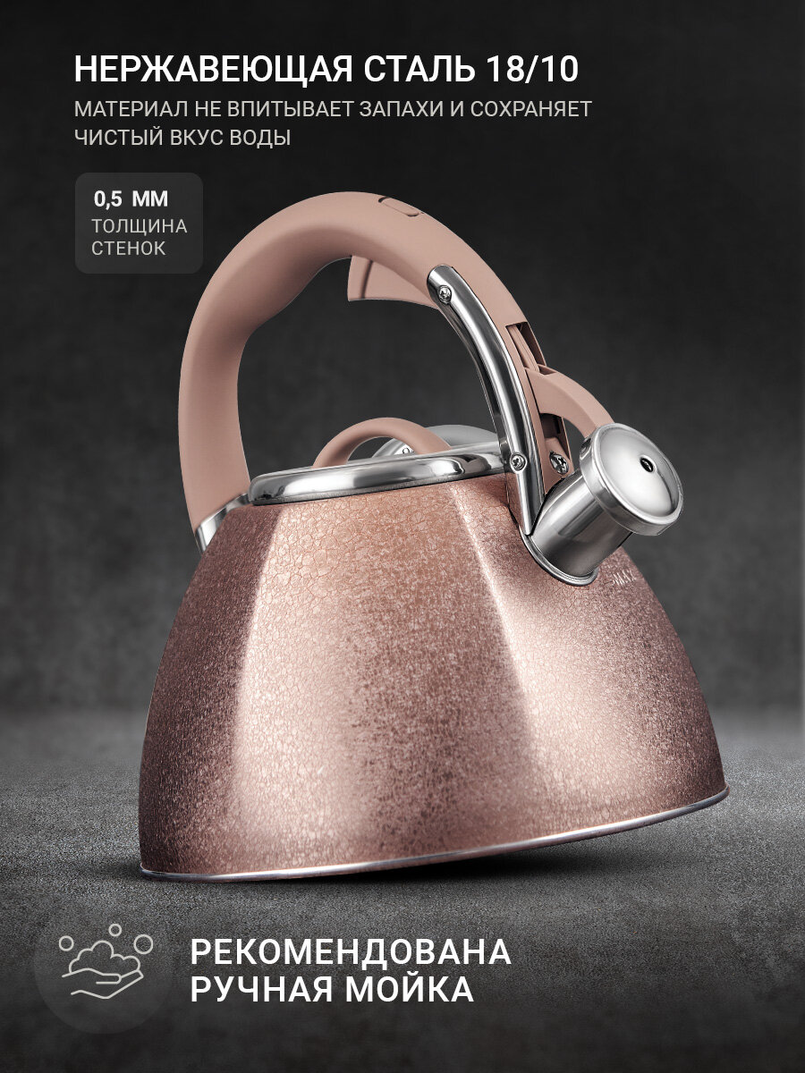 Чайник для всех типов плит TalleR TR-11354 Айгрет 3.0 л, со свистком — фото 1