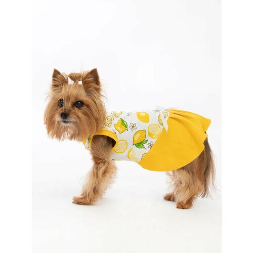Платье трикотажное, летнее, для собак и кошек «Маленькая кокетка» р. 28 (Лимоны), длина изделия 31 см