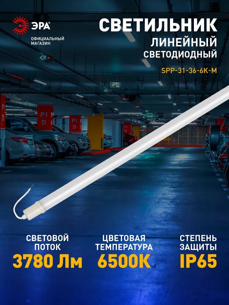 Светильник светодиодный линейный ЭРА SPP-31-36-6K-M промышленный 36Вт 6500К 3780лм IP65 1170мм