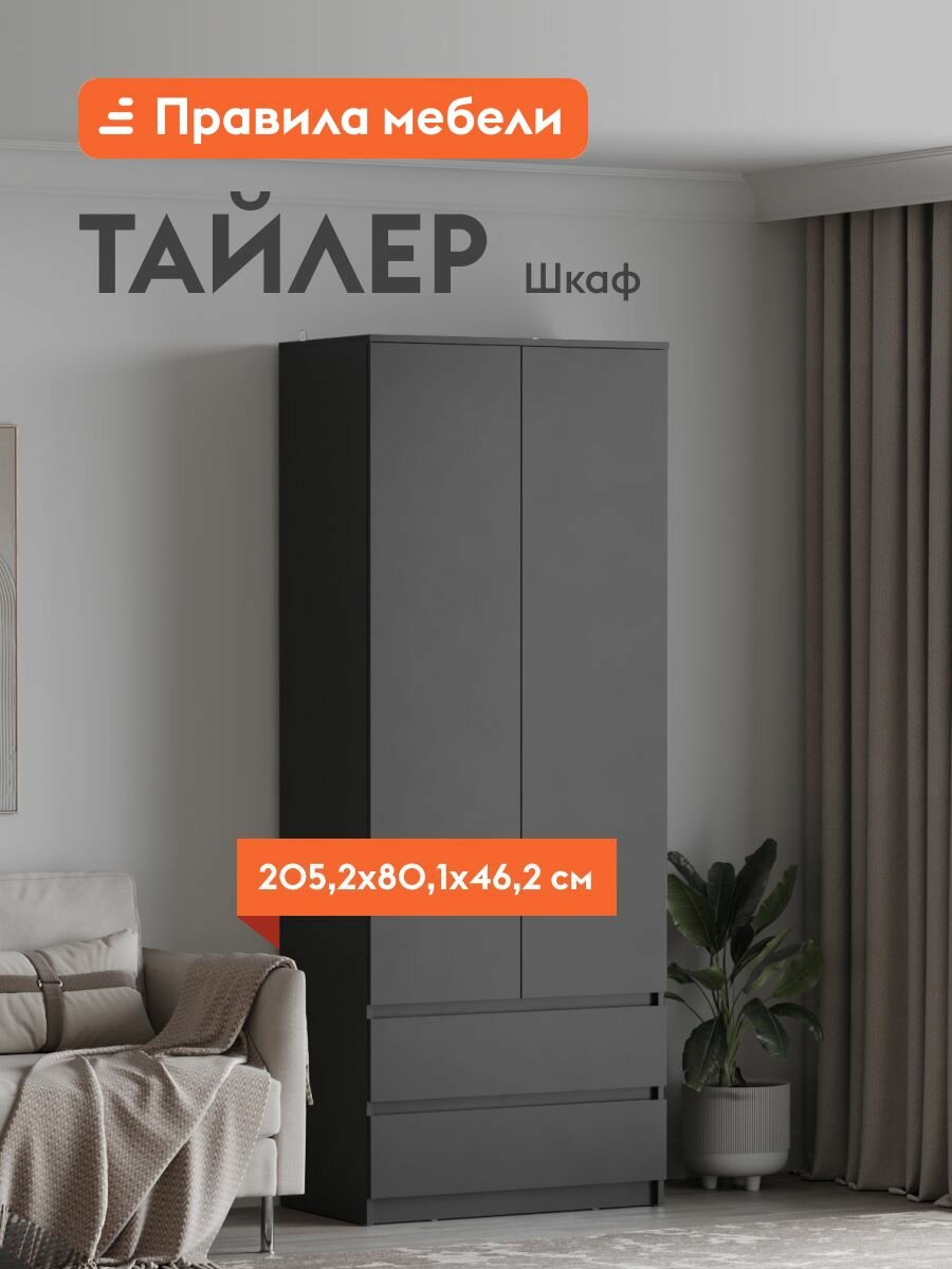 Шкаф распашной для одежды Тайлер двухстворчатый с ящиками, с полками, со штангой, 80.1х46.2х205.2 см, Графит