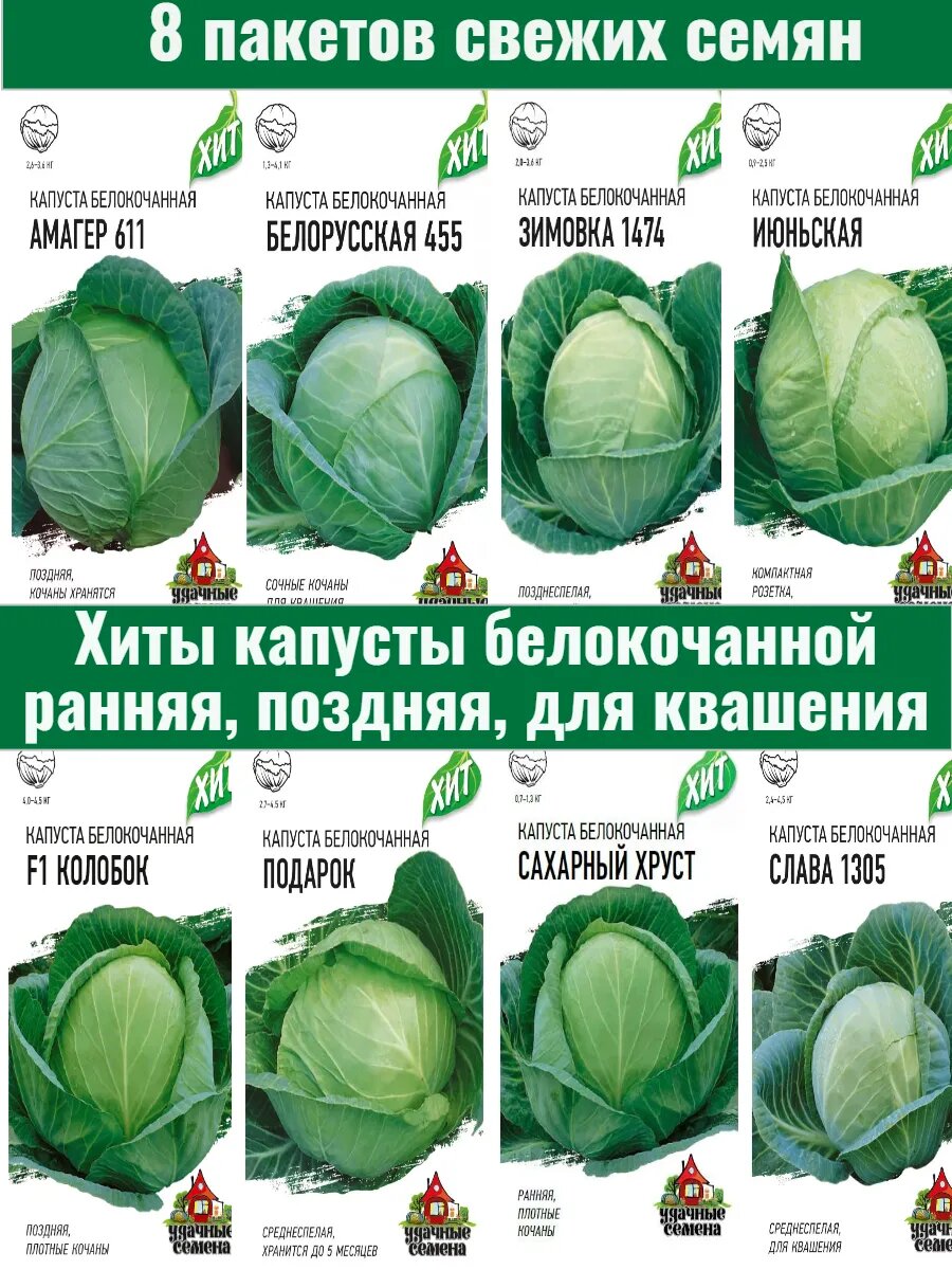 Семена капусты белокочанной 8 пакетов