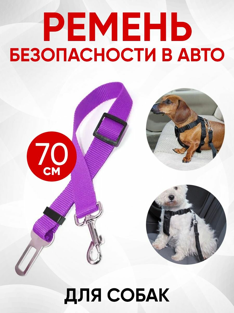 Ремень безопасности для собак в авто / поводок автомобильный / крепление для собак Dog Safety Belt (Фиолетовый)