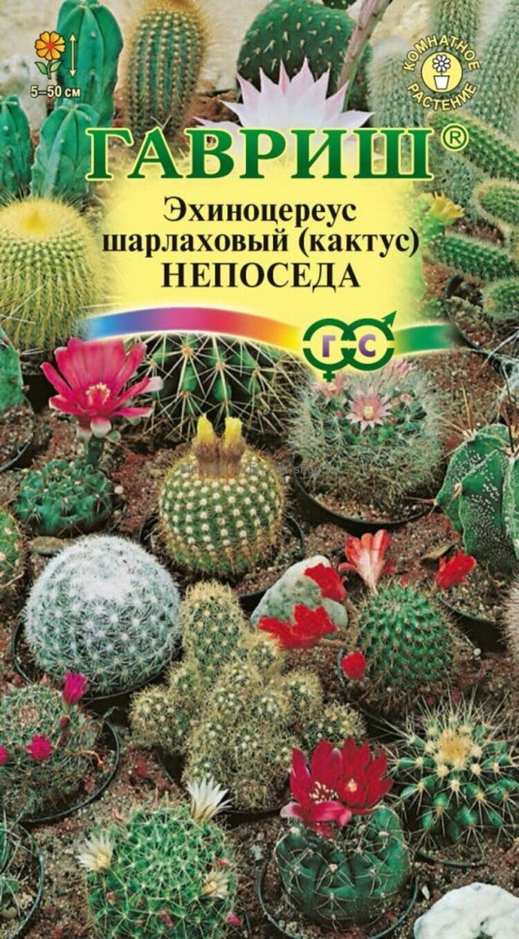 Семена Кактус Непоседа смесь (005 г) Гавриш комнатные растения