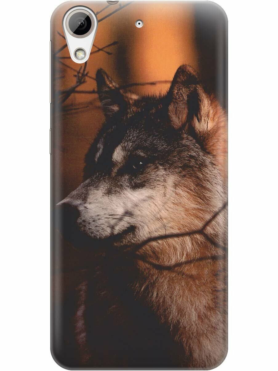 Накладка Transparent для HTC Desire 626 / 626s / 626G Dual Sim с принтом "Красивый волк"