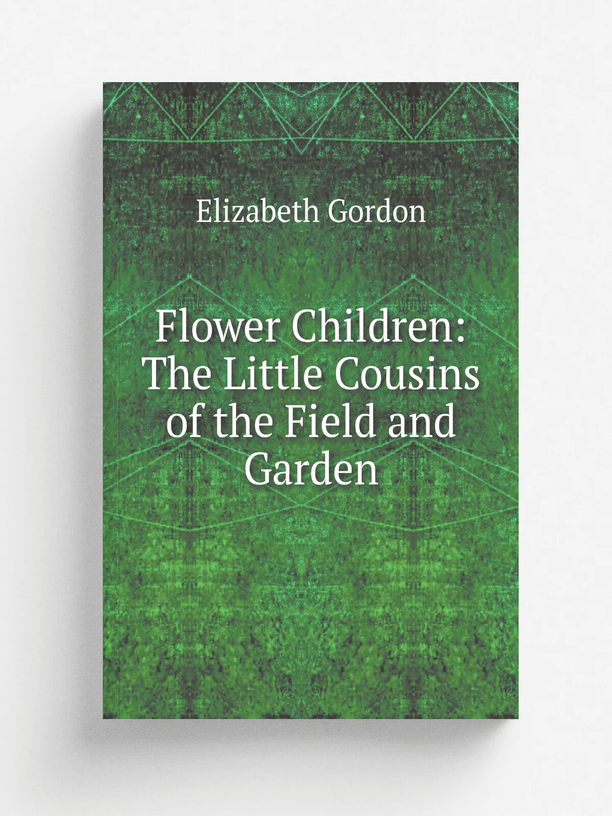 Flower Children: The Little Cousins of the Field and Garden