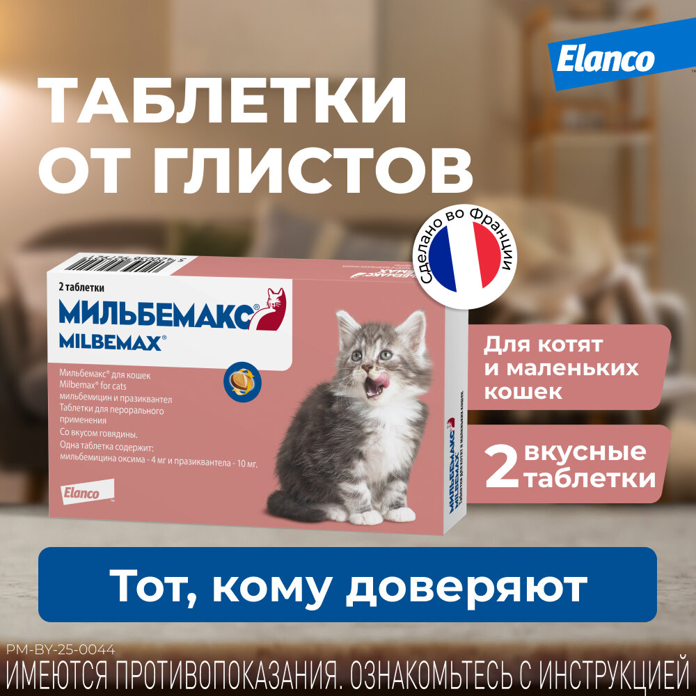 Мильбемакс (Elanco), таблетки от гельминтов со вкусом говядины для котят и маленьких кошек – 2 таблетки