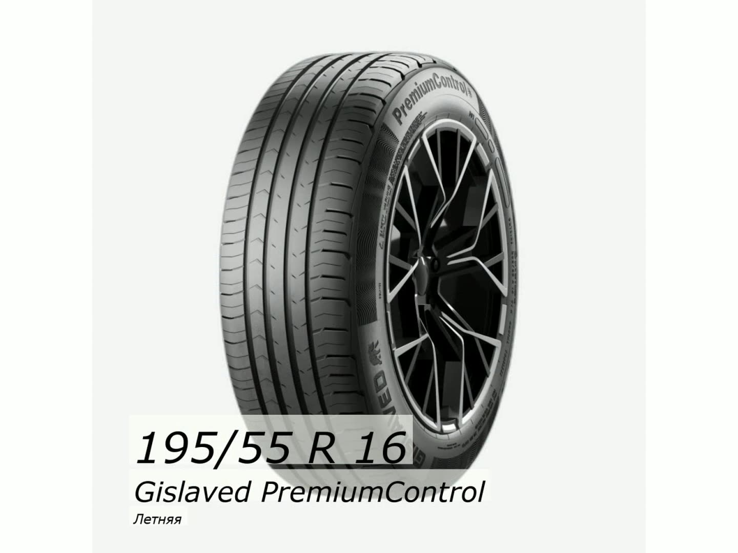 Шина летняя Gislaved 195/55/16 V 91 PremiumControl для легковых автомобилей 03150110000 — фото 1