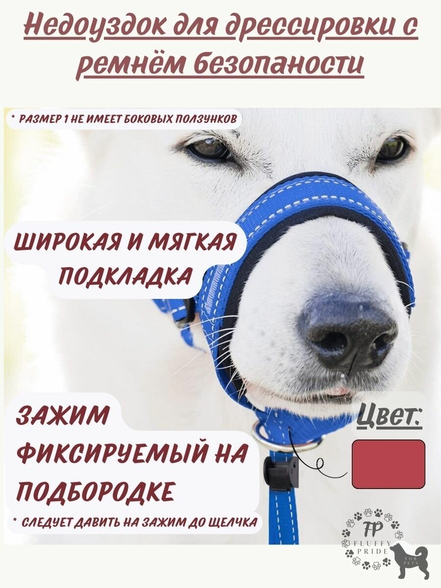 Недоуздок для дрессировки собак с ремнем безопасности, size XL - фотография № 5