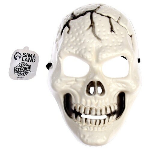 Карнавальная маска «Череп» маска карнавальная пират череп серебро 20х16х6см пластик