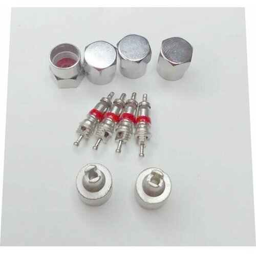 Комплект для замены золотника - ниппеля, колпачка шины