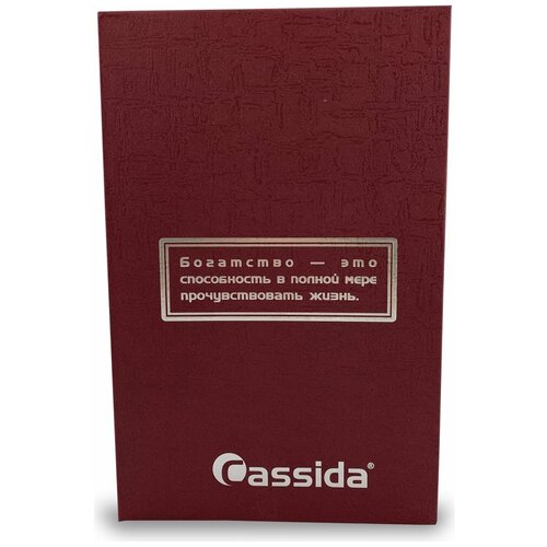 Сейф-книга Cassida с кодовым замком