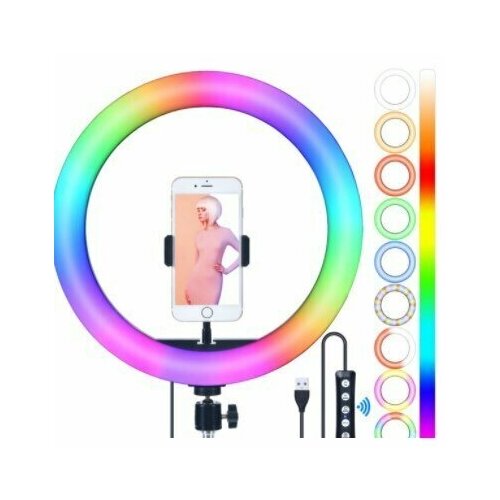 Кольцевая лампа MJ33 RGB 207000₽
