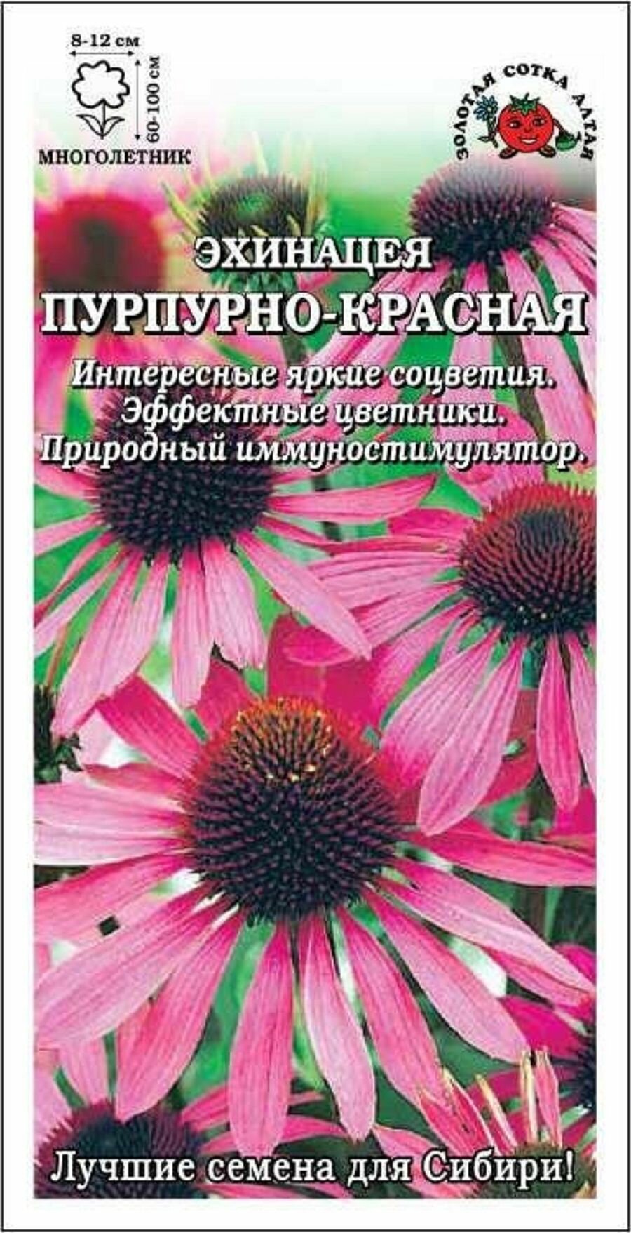 Эхинацея пурпурно-красная 05г / Сотка Алтая