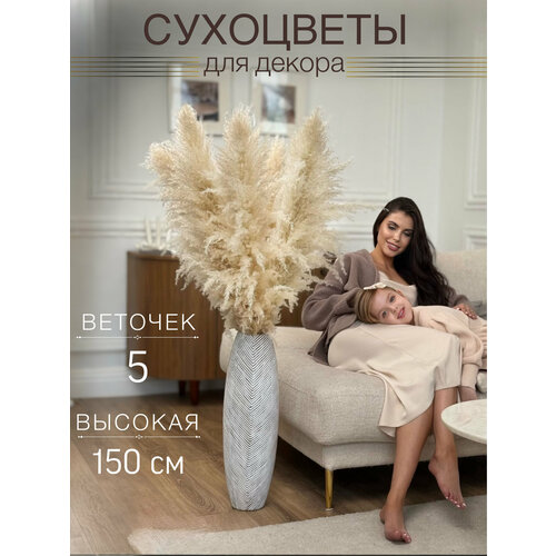 фото Пампасная трава designflowers, сухоцветы для декора, кортадерия 5 шт, 130 см