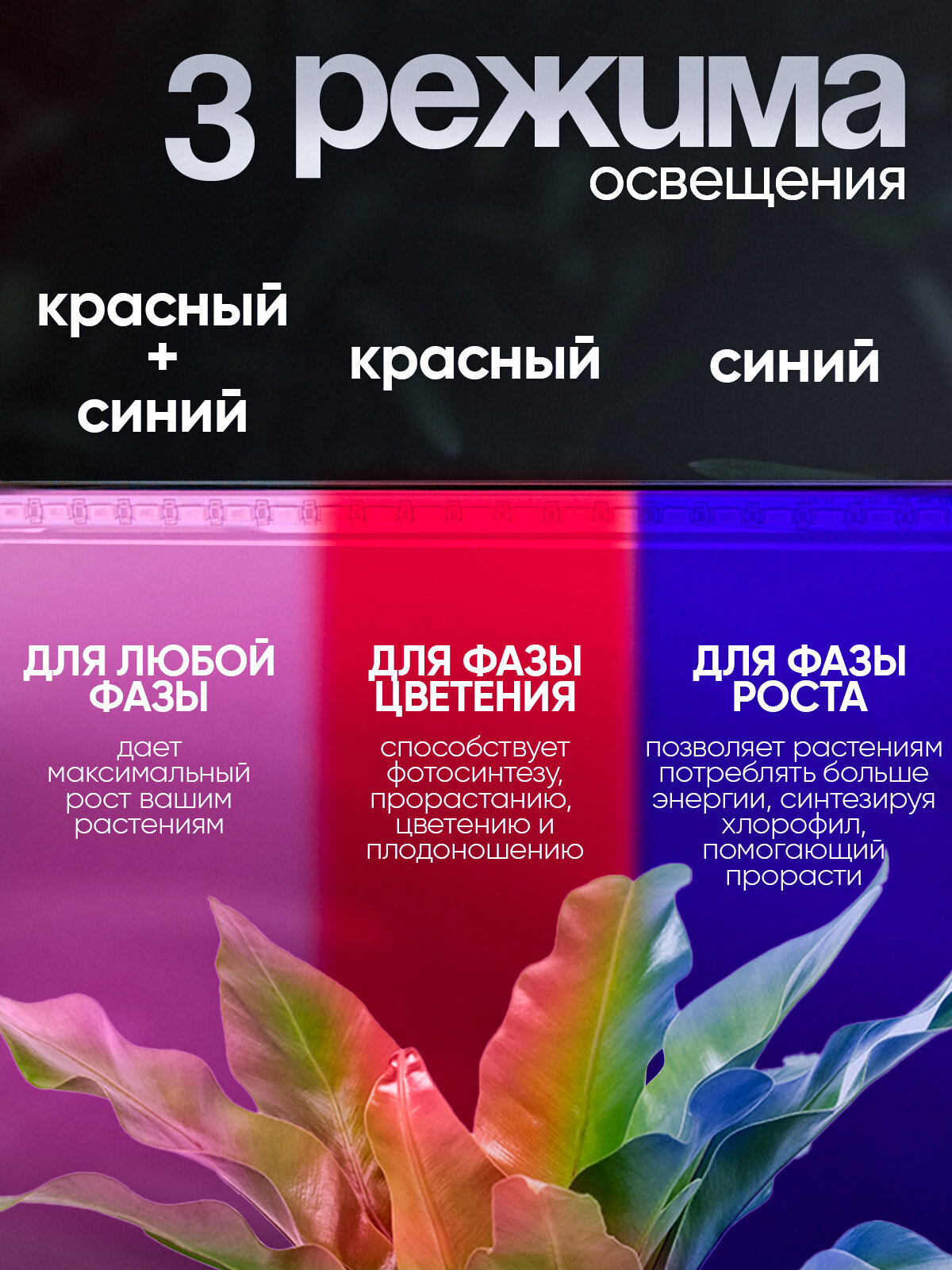 Фито лампа для растений с таймером на прищепке Огонек OG-LDP20 — фото 1