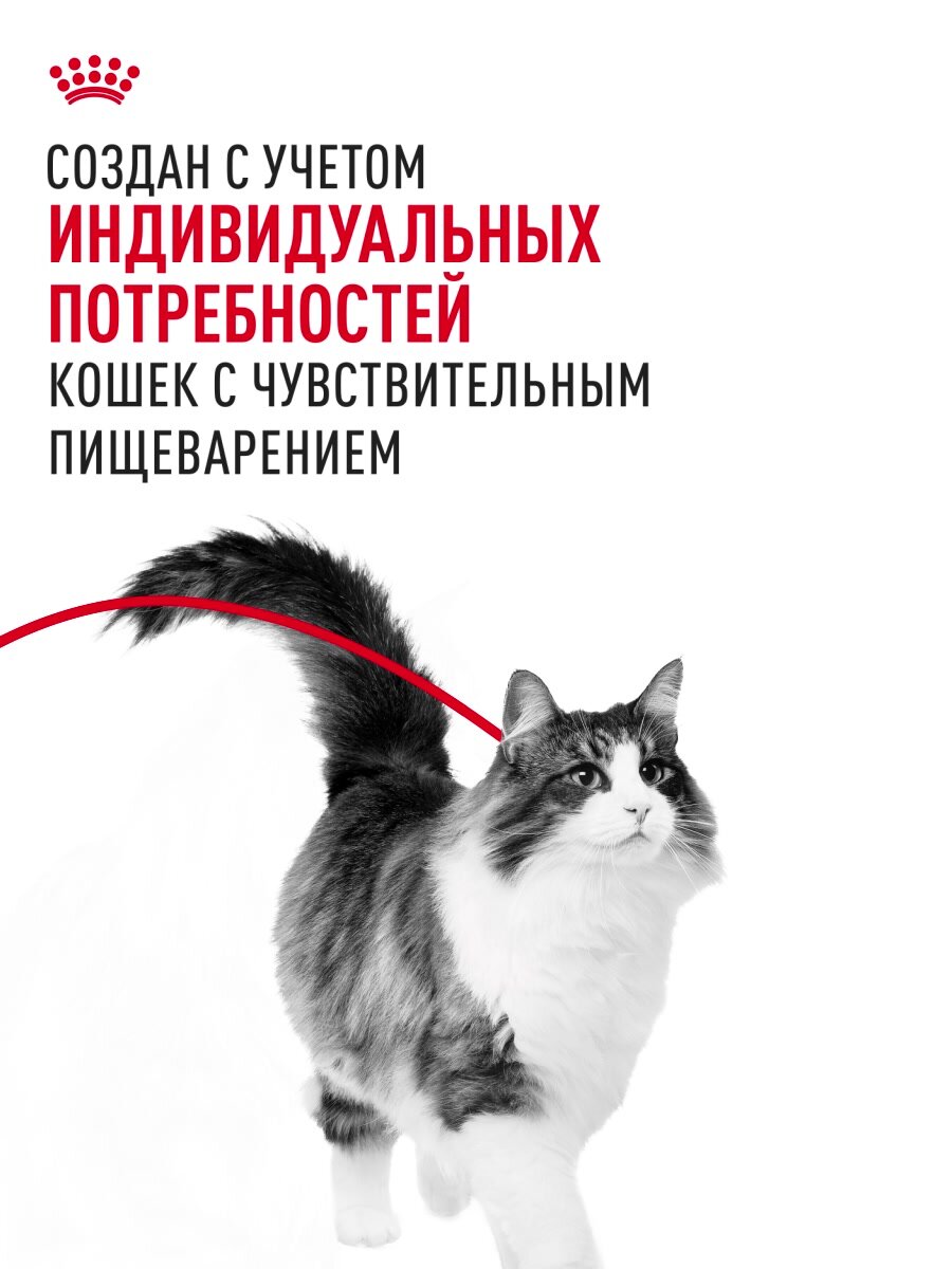 Сухой корм для кошек Royal Canin Sensible 33 для чувствительной пищеварительной системы, 0,4 кг — фото 1