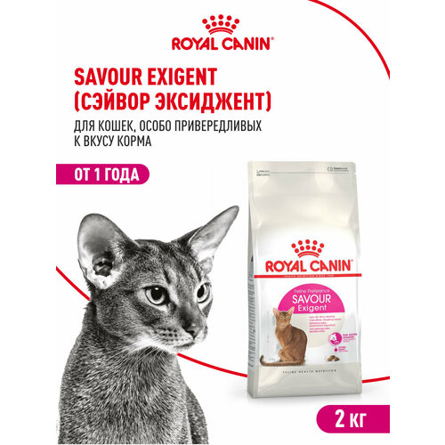 Сухой корм для кошек Royal Canin Savour Exigent для привередливых питомцев, 2 кг