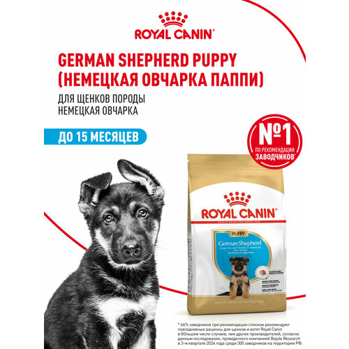 Сухой корм Royal Canin German Shepherd Puppy (Немецкая Овчарка Паппи) для щенков породы Немецкая Овчарка до 15 месяцев, 12 кг