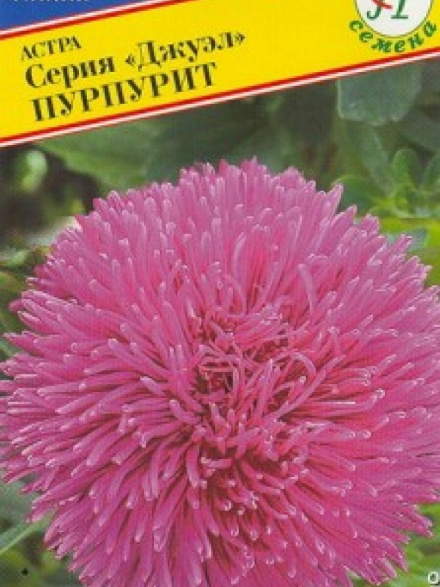Астра Джуэл Пурпурит 03 г Семена Престиж