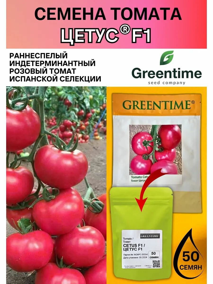 Профессиональные семена индетерминантного томата Цетус F1 GREENTIME 50 штук
