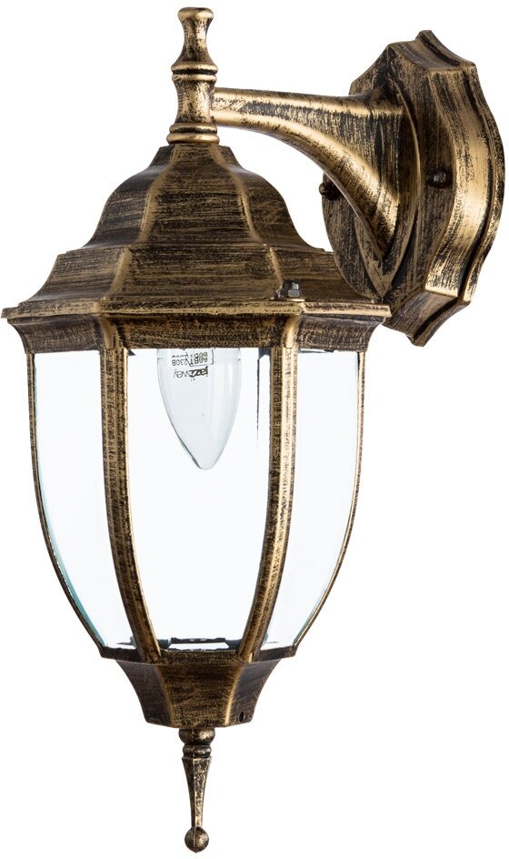 Уличный настенный светильник Arte Lamp PEGASUS A3152AL-1BN E27 коричневый