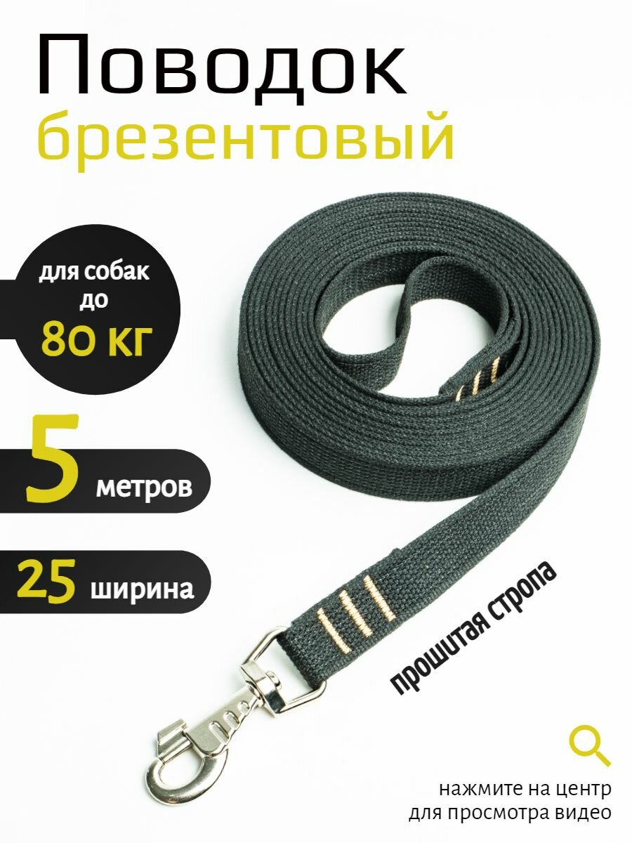 Поводок для собак крупных пород PRO прошитый c карабином брезент 5 м х 25 мм (черный)