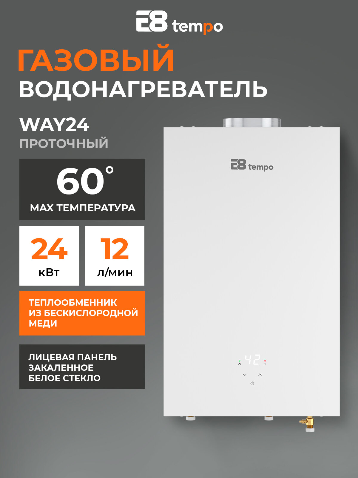Цифровая газовая колонка E8 Tempo модель WAY24 (питание от сети 220В без батареек лицевая панель закаленное стекло белого цвета 12 л/мин 24 кВт дымоход 110 мм природный газ)