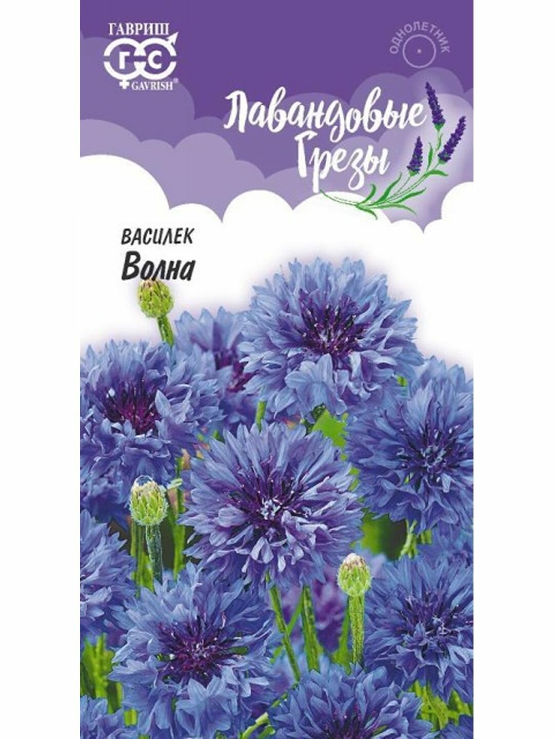 Семена Василек 