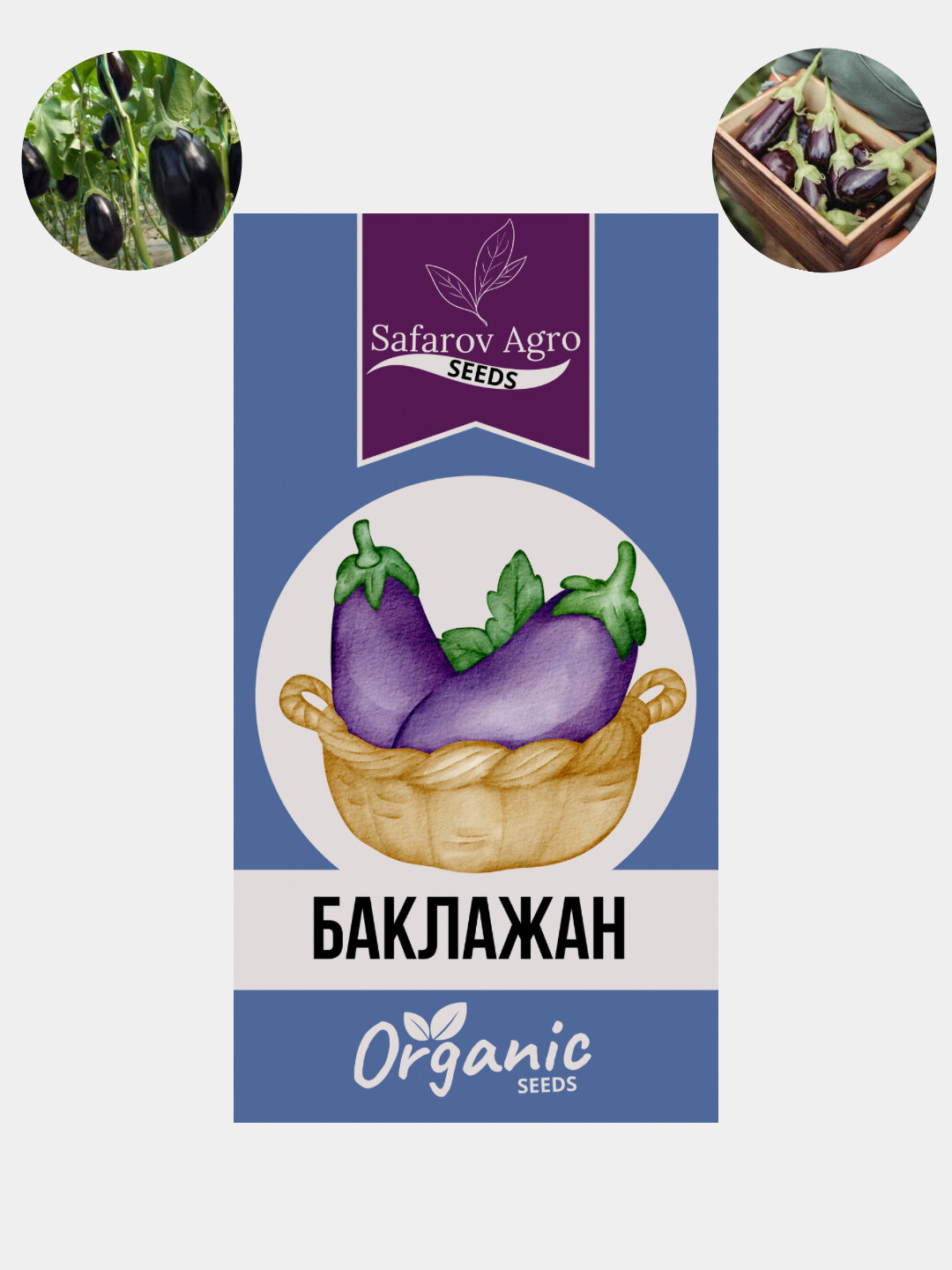 Баклажан семена, Семена баклажана Баклажан семена, Семена баклажана