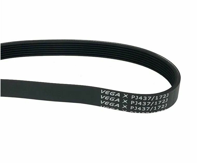 Ремень привода ножа 7PJ437/172J для газонокосилки CHAMPION EM3414, EM3716 / 1052544000