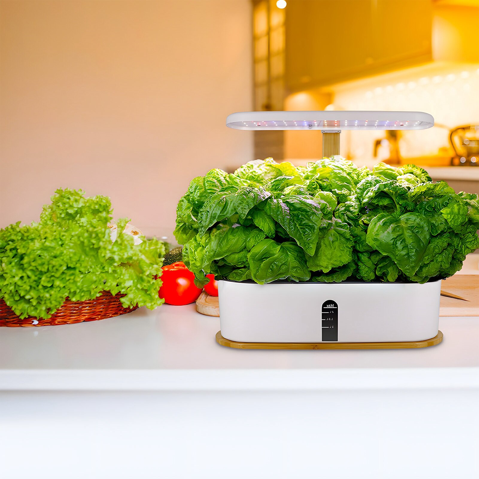 Настенный огород Miroir en Herbe