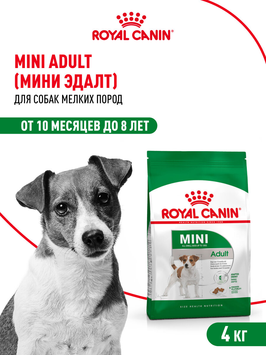 Картинки Сухой корм для собак Royal Canin Mini Adult для мелких пород, 4 кг