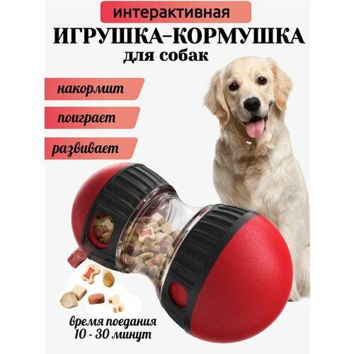 Игрушка-кормушка для собак, для активных игр, пластик, 8 см, красная/черная