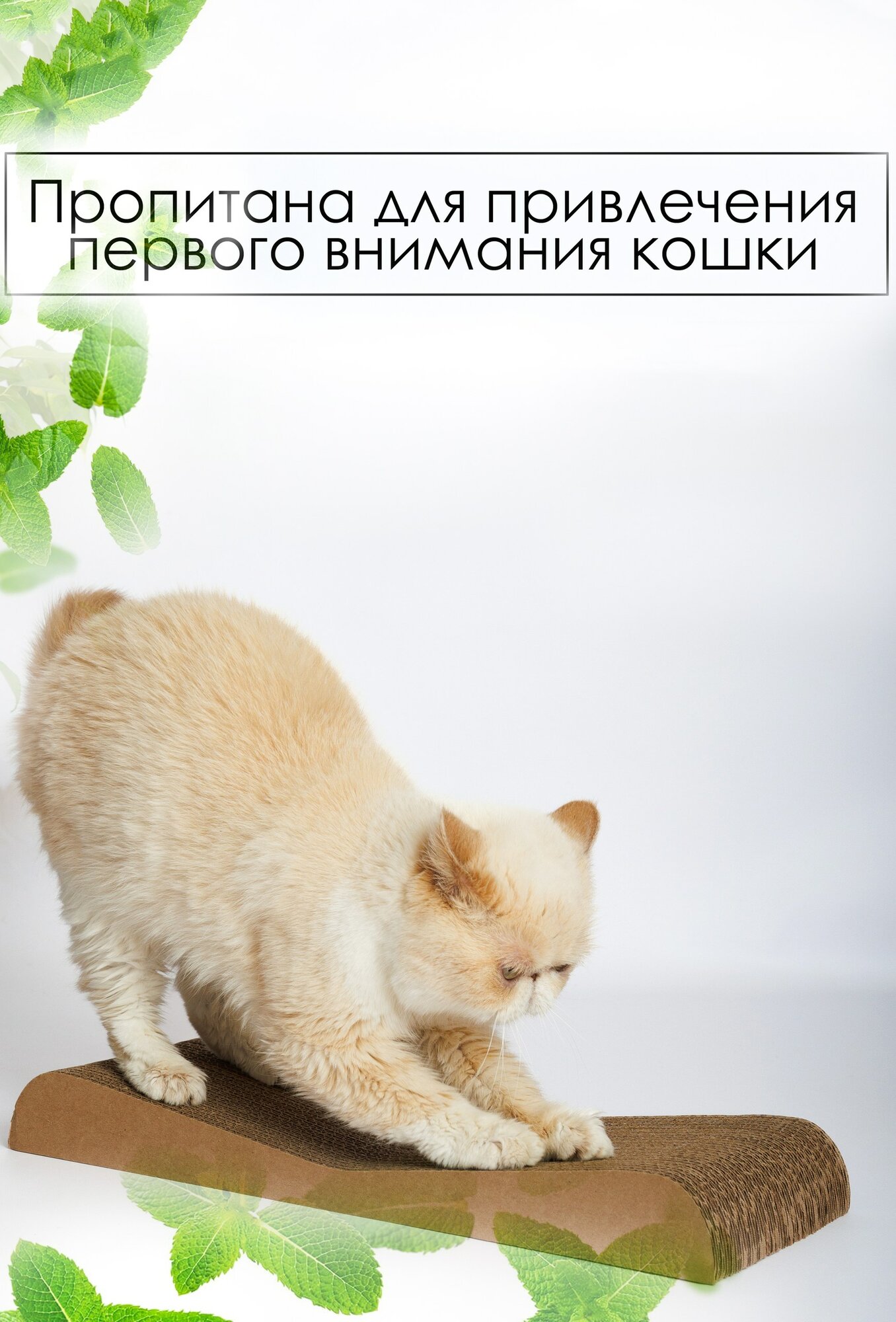 Когтеточка для кошек картонная Зверьё Моё лежанка, двусторонняя ДЮНА — фото 1