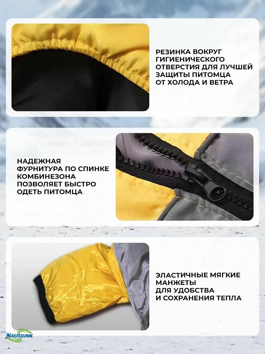 Одежда для животных — фото 1